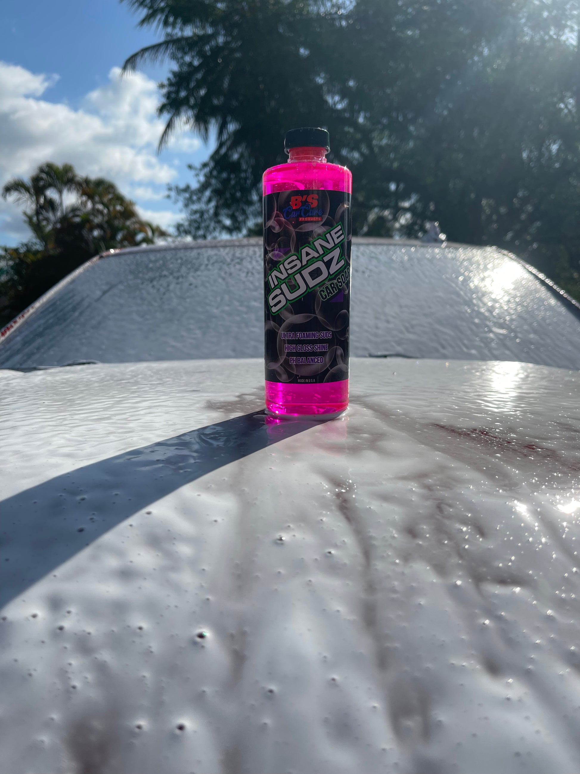 Sud'z and Shine Wash 'n Wax Liquid Car Soap - Well Worth